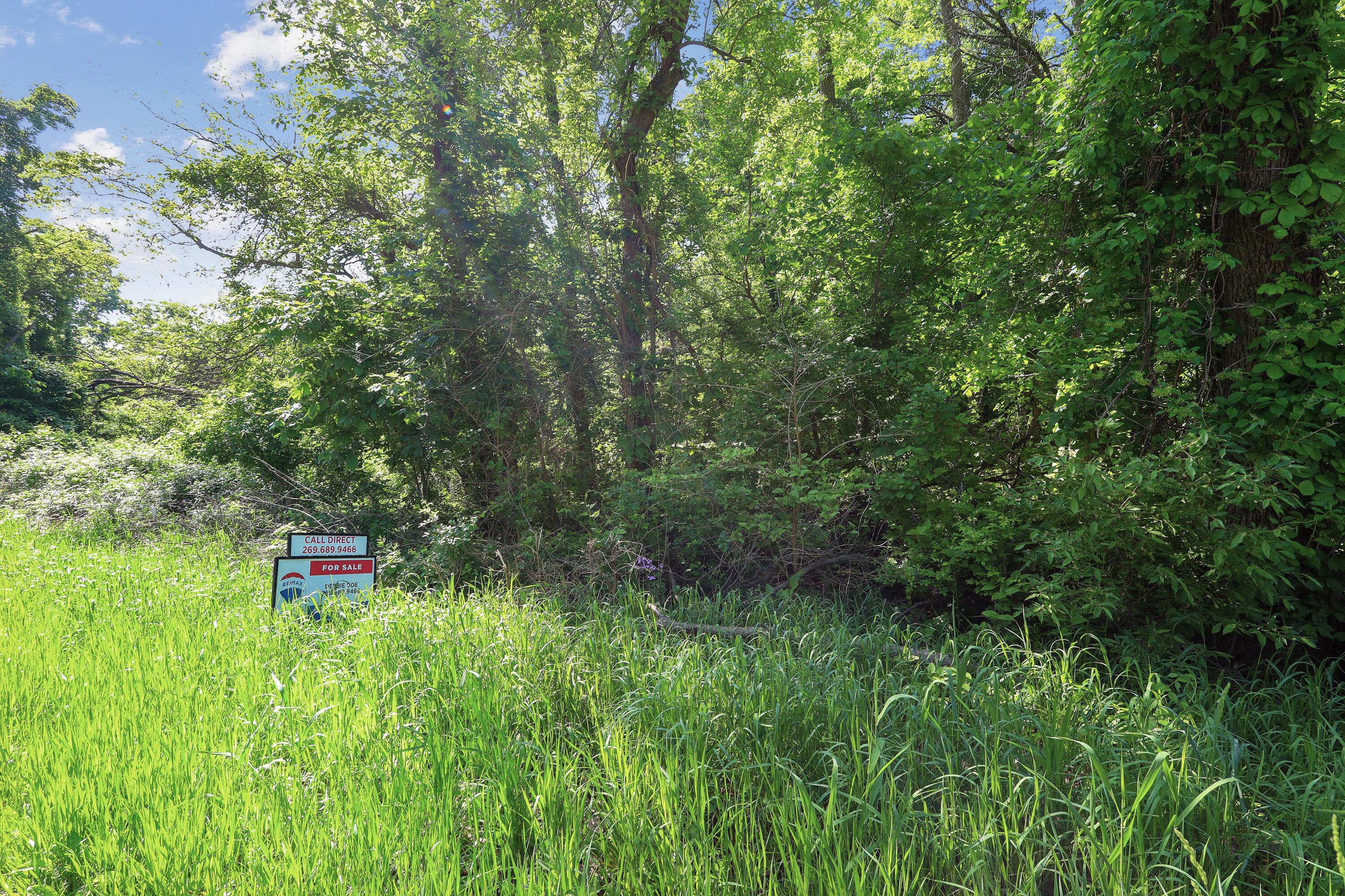 Ville Crooked Creek Road White Pigeon Township MI 49099