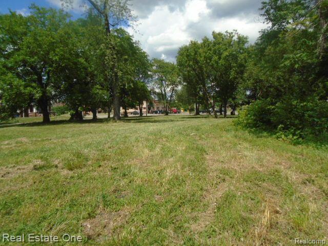 35 Edison Street Detroit City MI 48202
