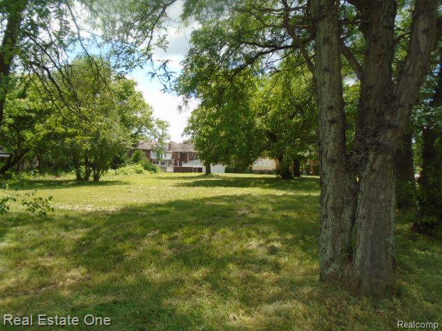 35 Edison Street Detroit City MI 48202