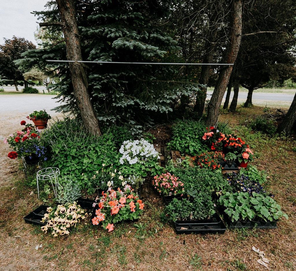 11184 N Mill Street Leelanau Township MI 49670