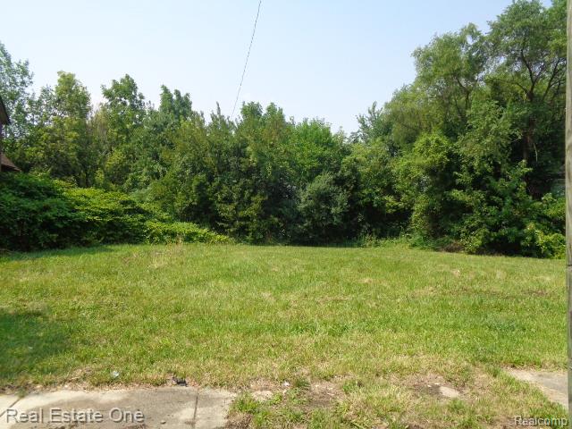 2526 W Forest Avenue Detroit City MI 48208