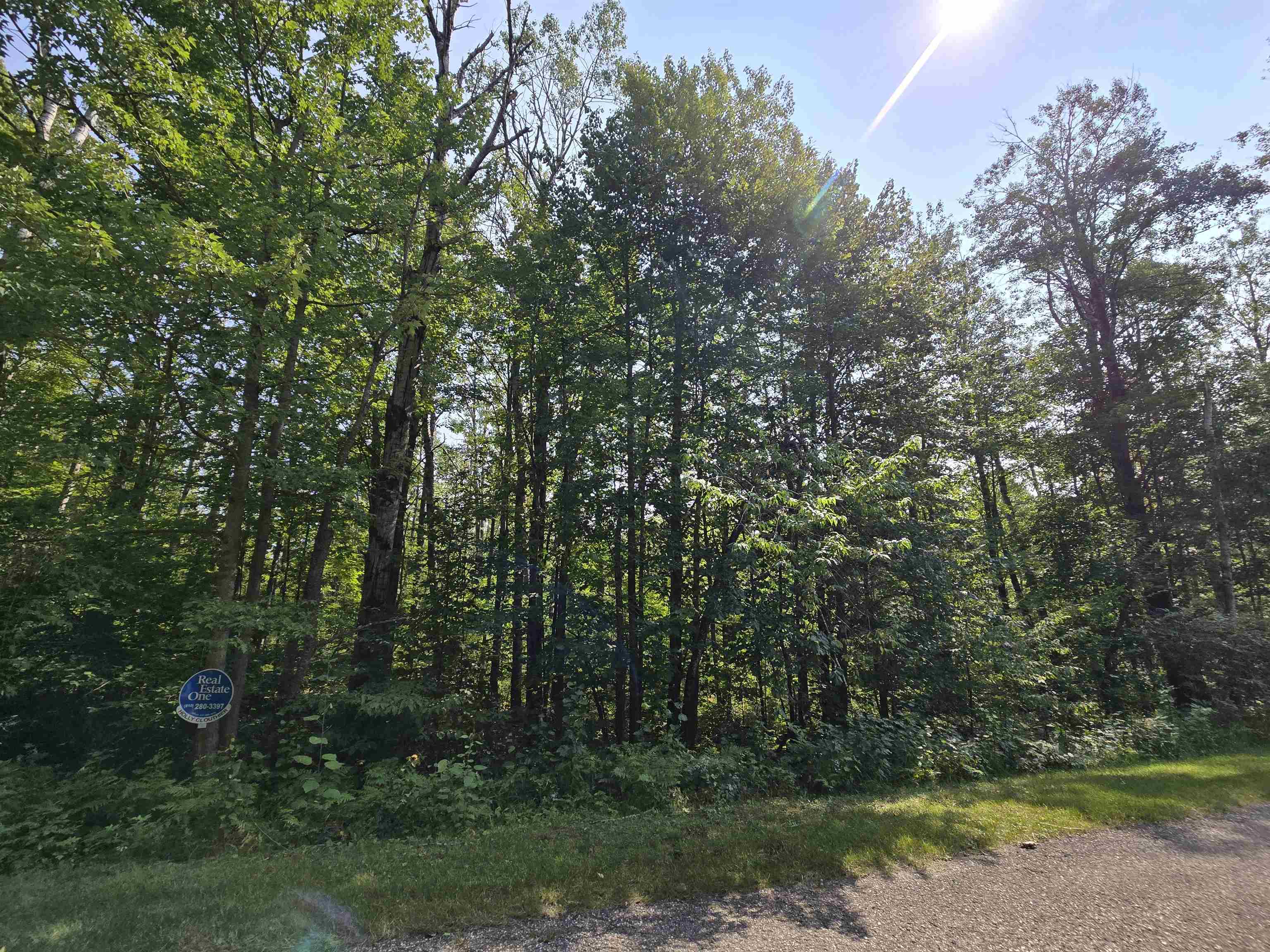 1617 Springdale Circle Star Township MI 49730