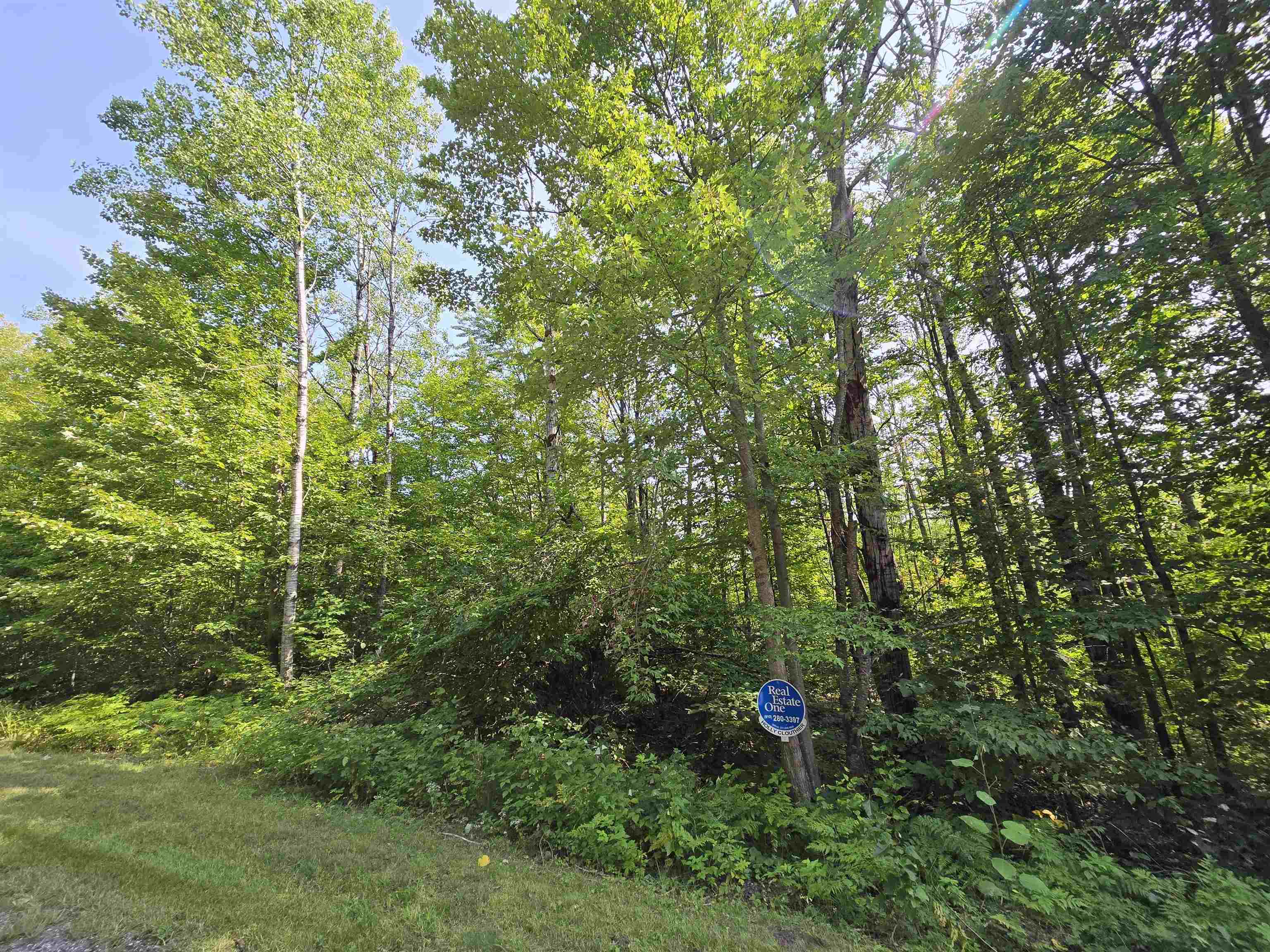 1617 Springdale Circle Star Township MI 49730