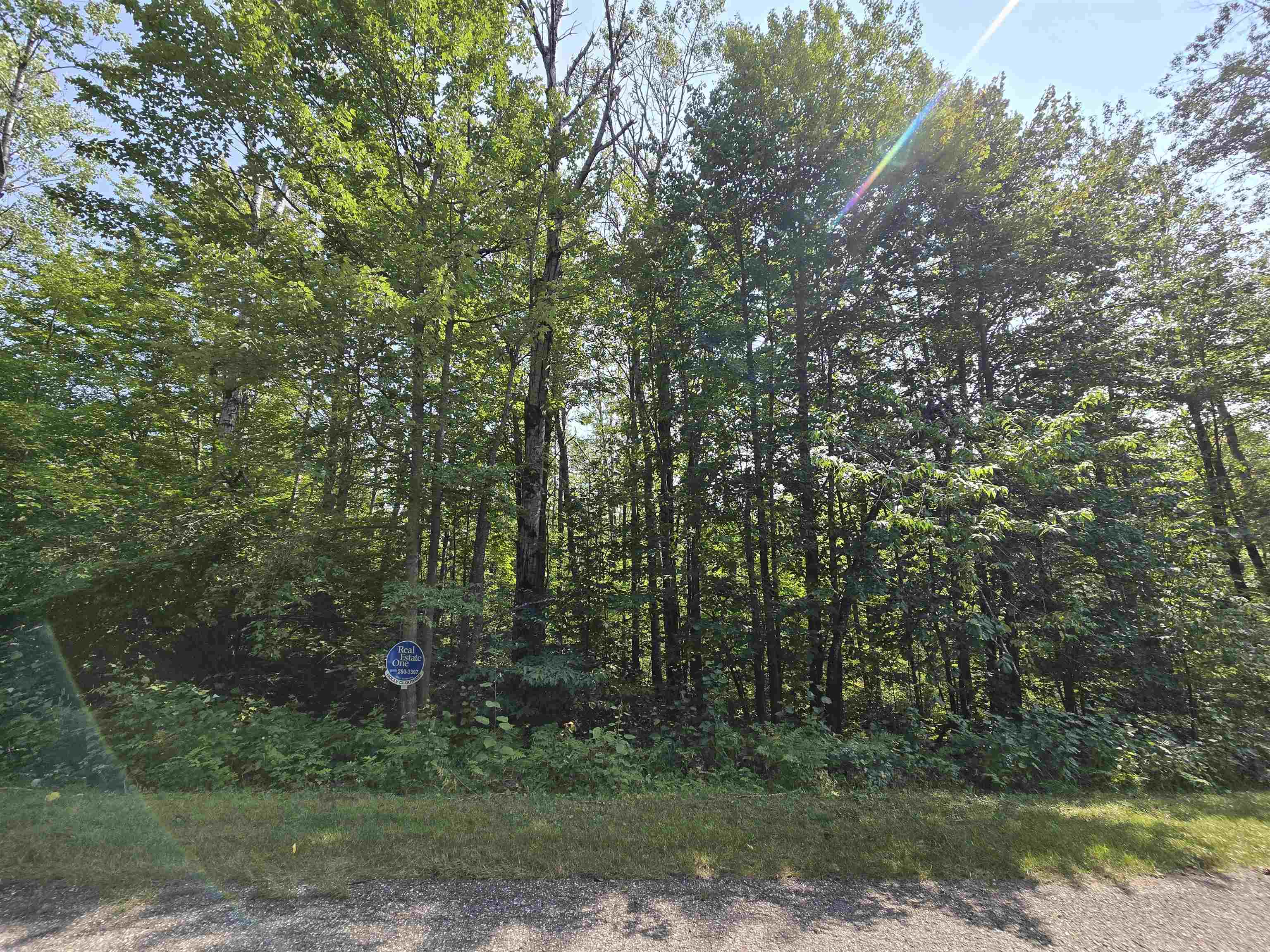 1617 Springdale Circle Star Township MI 49730
