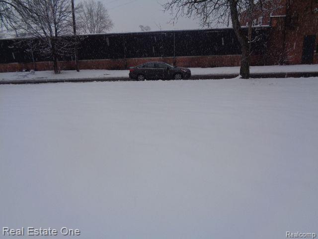 1043 Canton Street Detroit City MI 48207