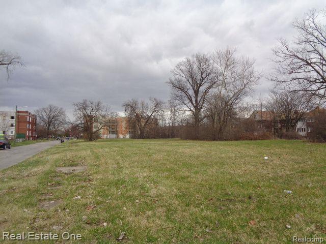 1749 Collingwood Street Detroit City MI 48206