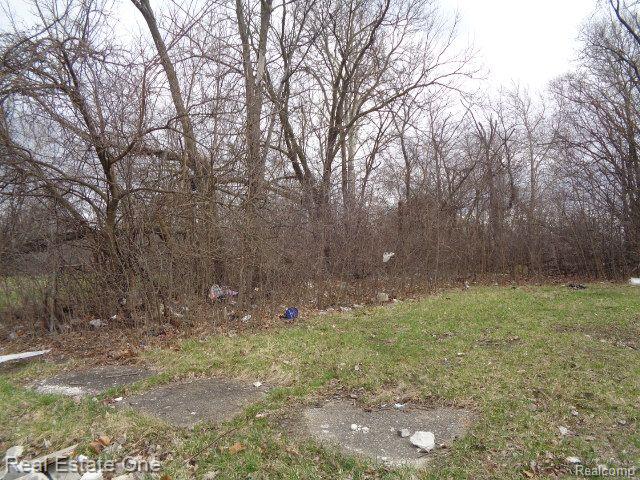 1749 Collingwood Street Detroit City MI 48206
