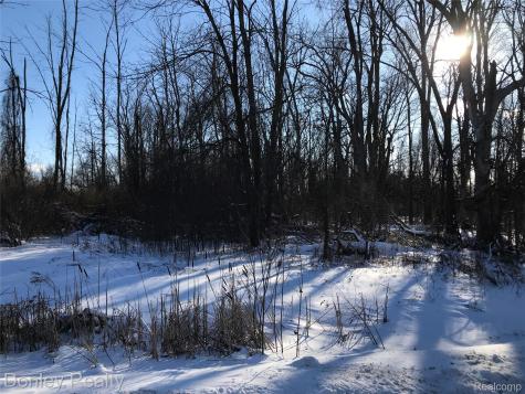 20 Vacant Lots Concord, Cranbrook & Tulane Marlette City MI 48453