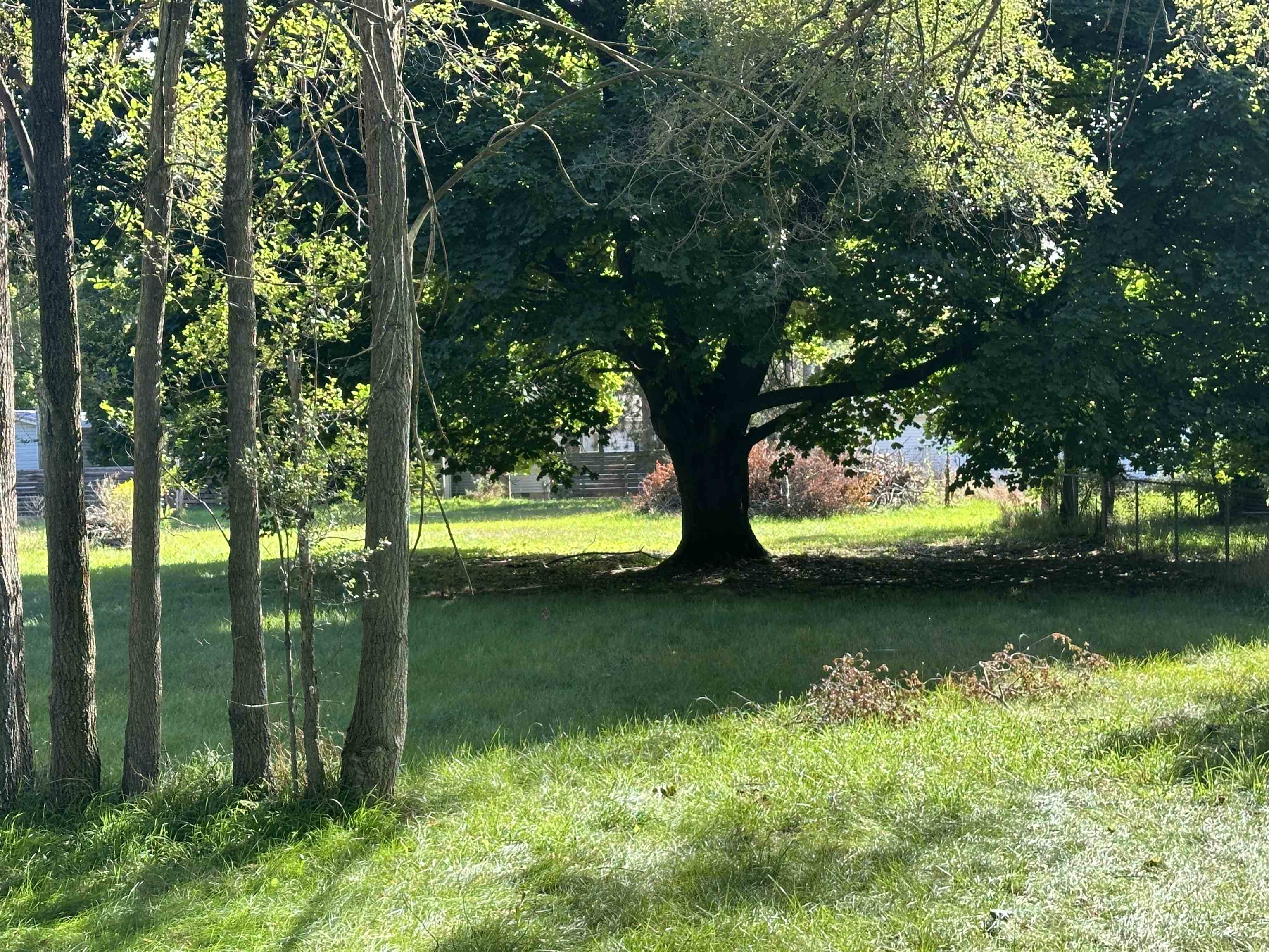 11253 Deer Lake Road Grant Township MI 48617