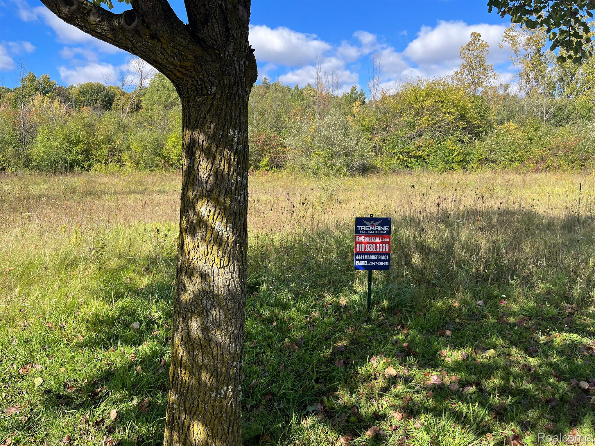 4441 Market Genesee Charter Township MI 48506