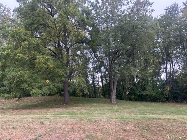 Lot C Chapin Street Grand Blanc Charter Township MI 48507