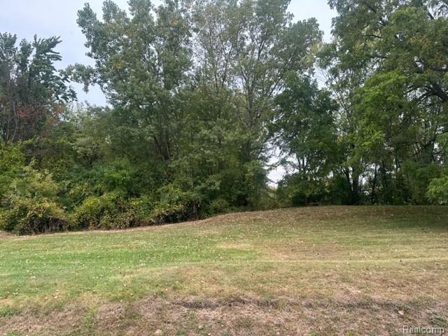 Lot C Chapin Street Grand Blanc Charter Township MI 48507
