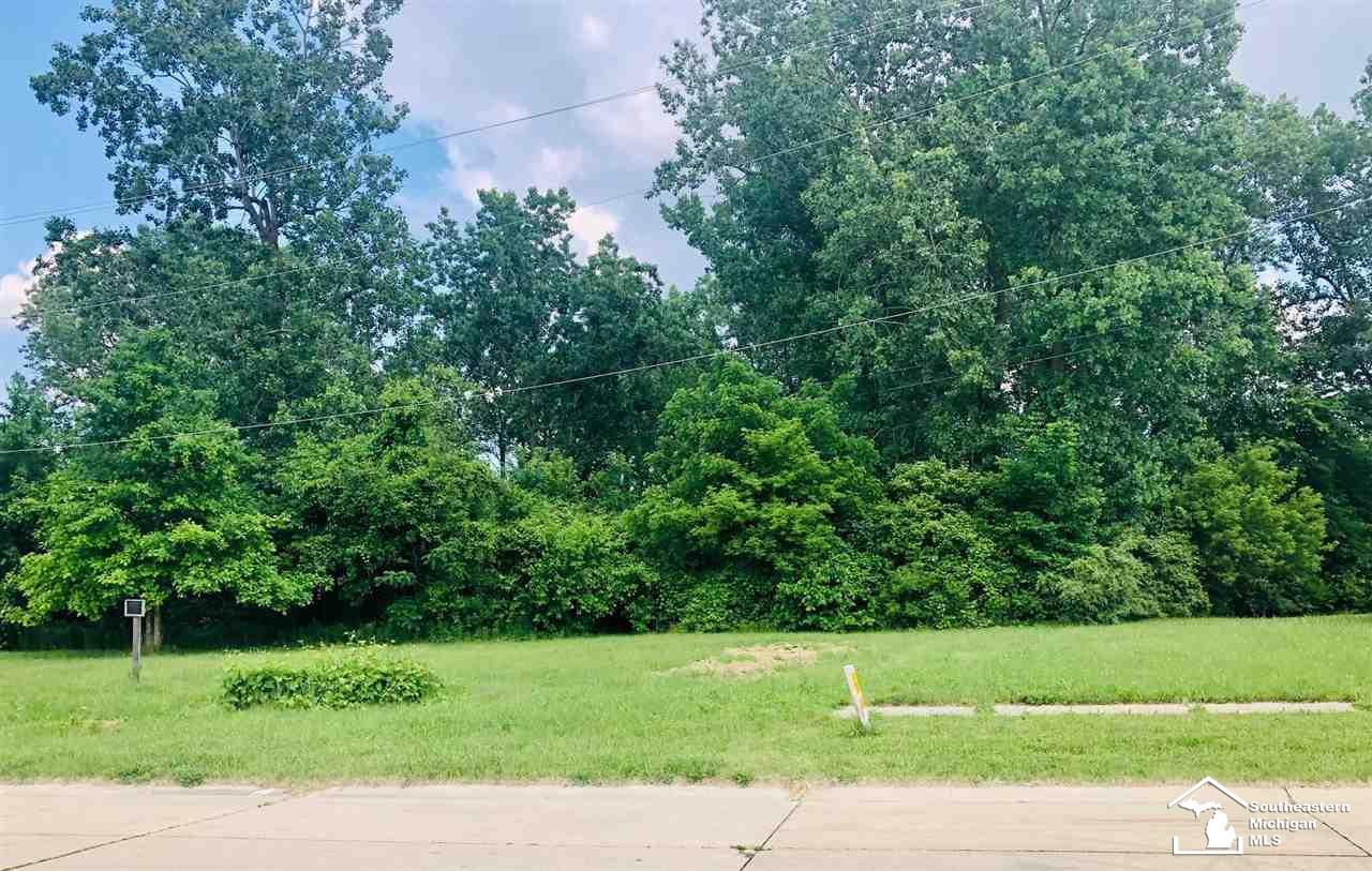 16277 Harrison Street Romulus City MI 48174
