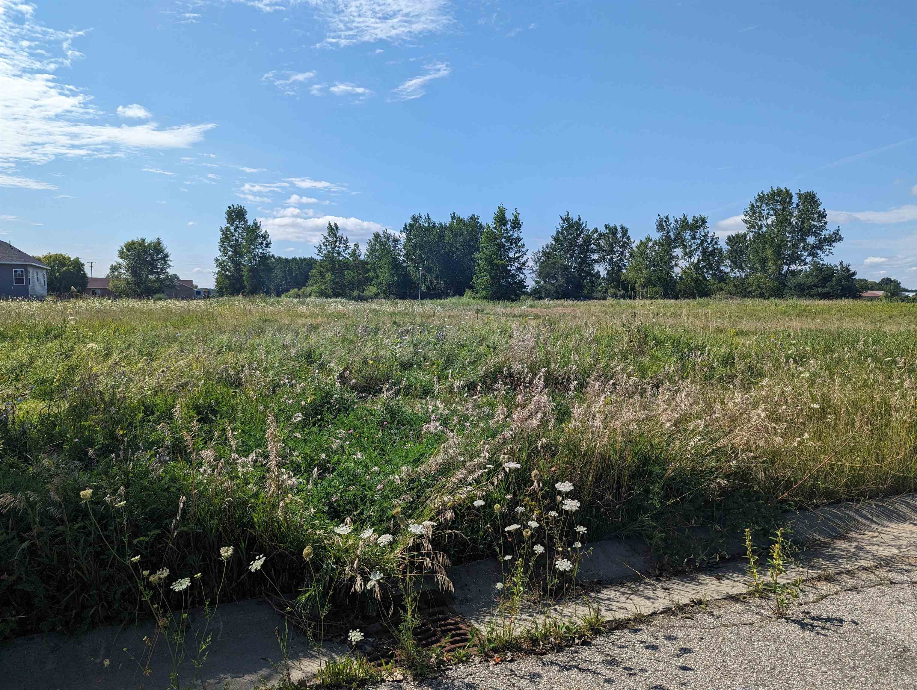 0 S Court Street Au Gres Township MI 48703