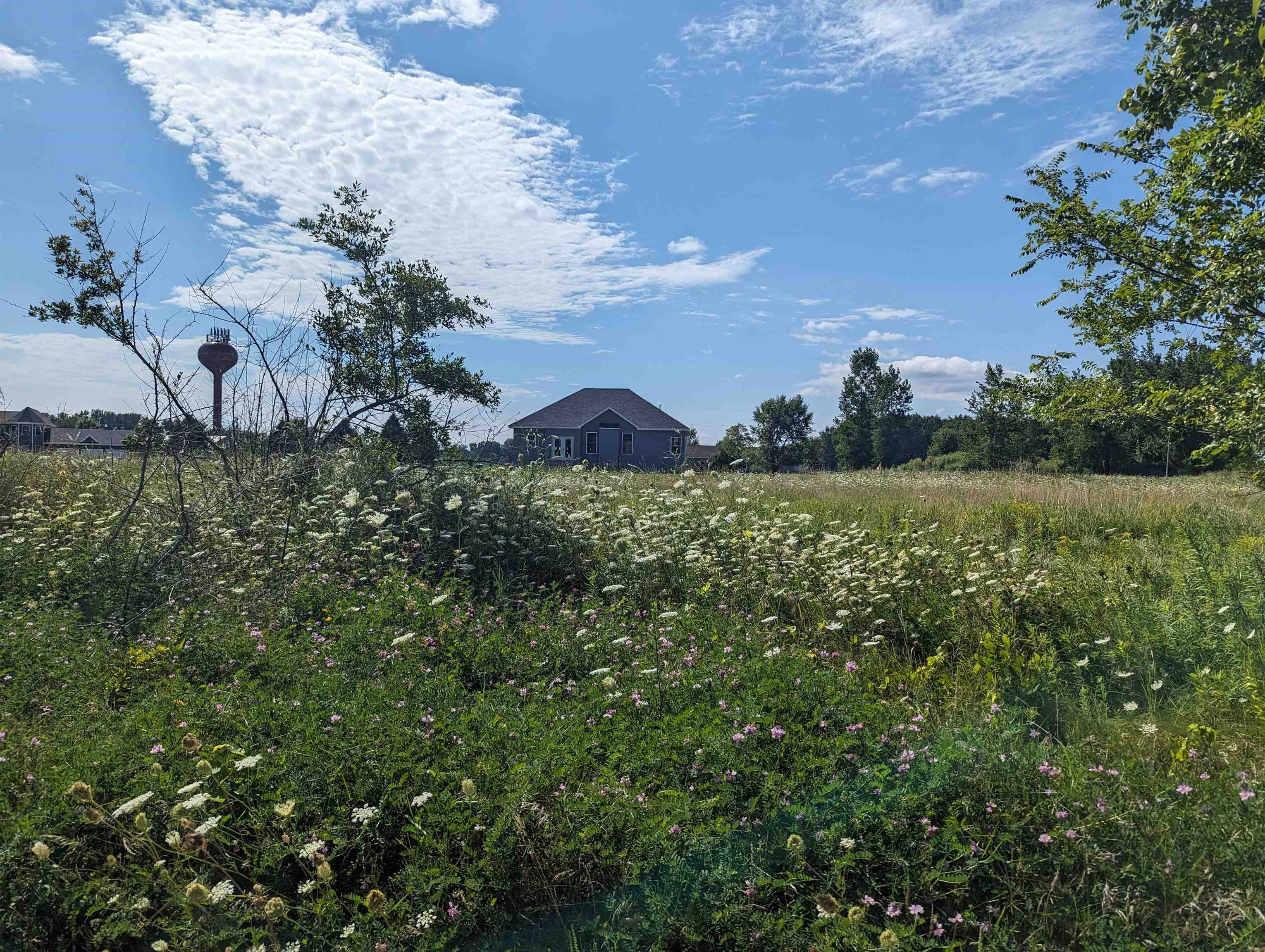 0 S Court Street Au Gres Township MI 48703