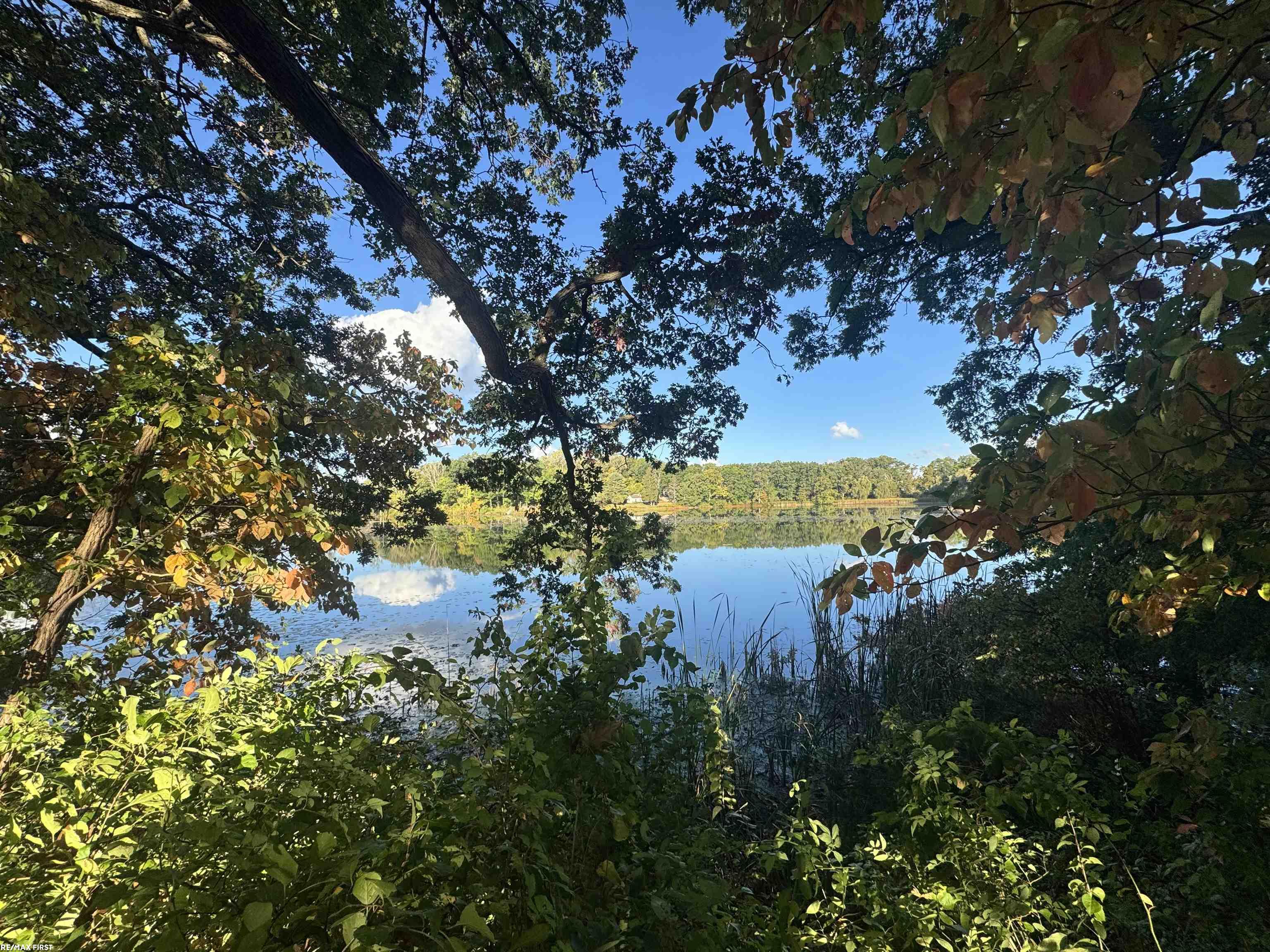 0000 Round Lake Lane Leonard Village MI 48367