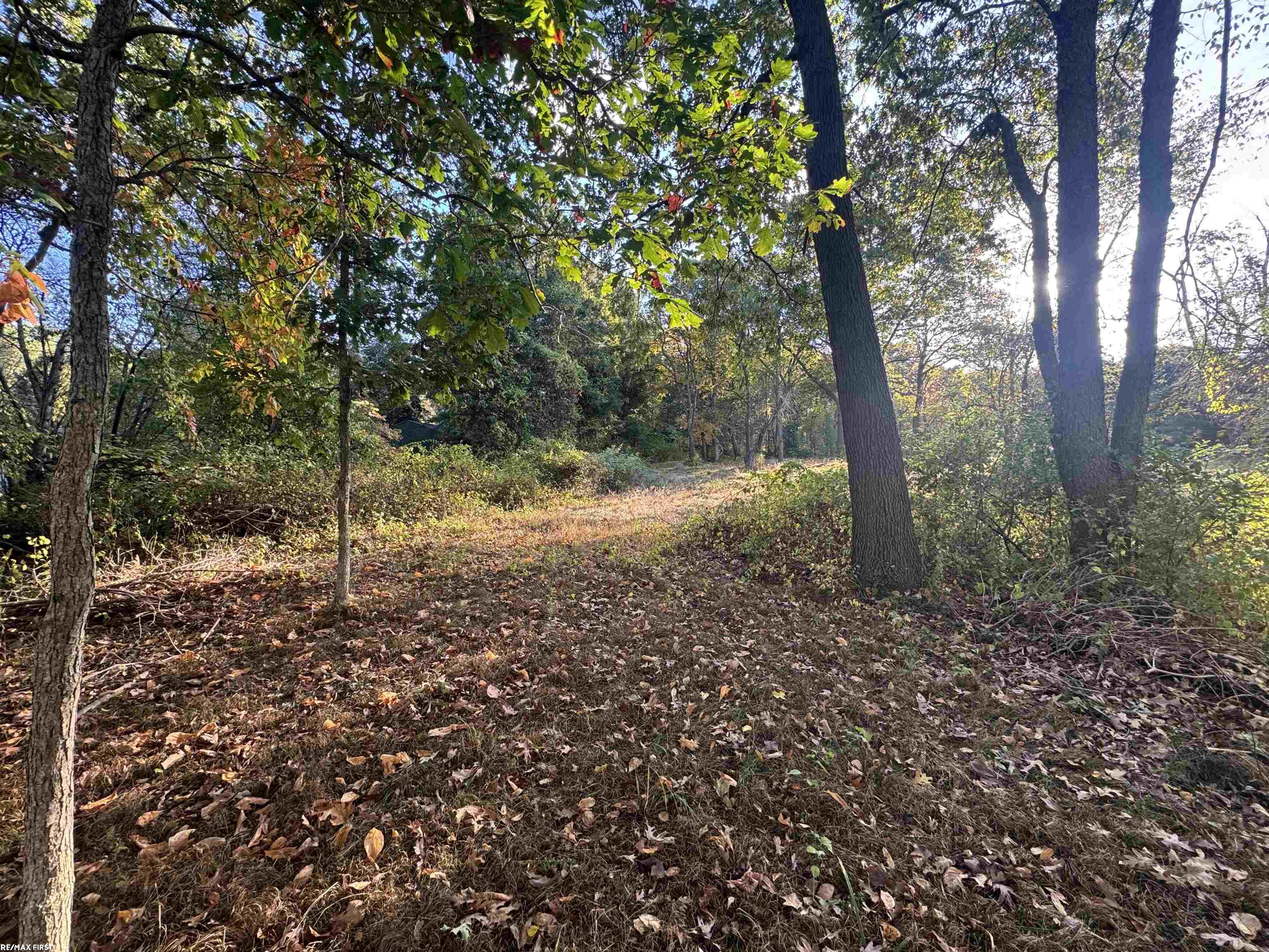 0000 Round Lake Lane Leonard Village MI 48367