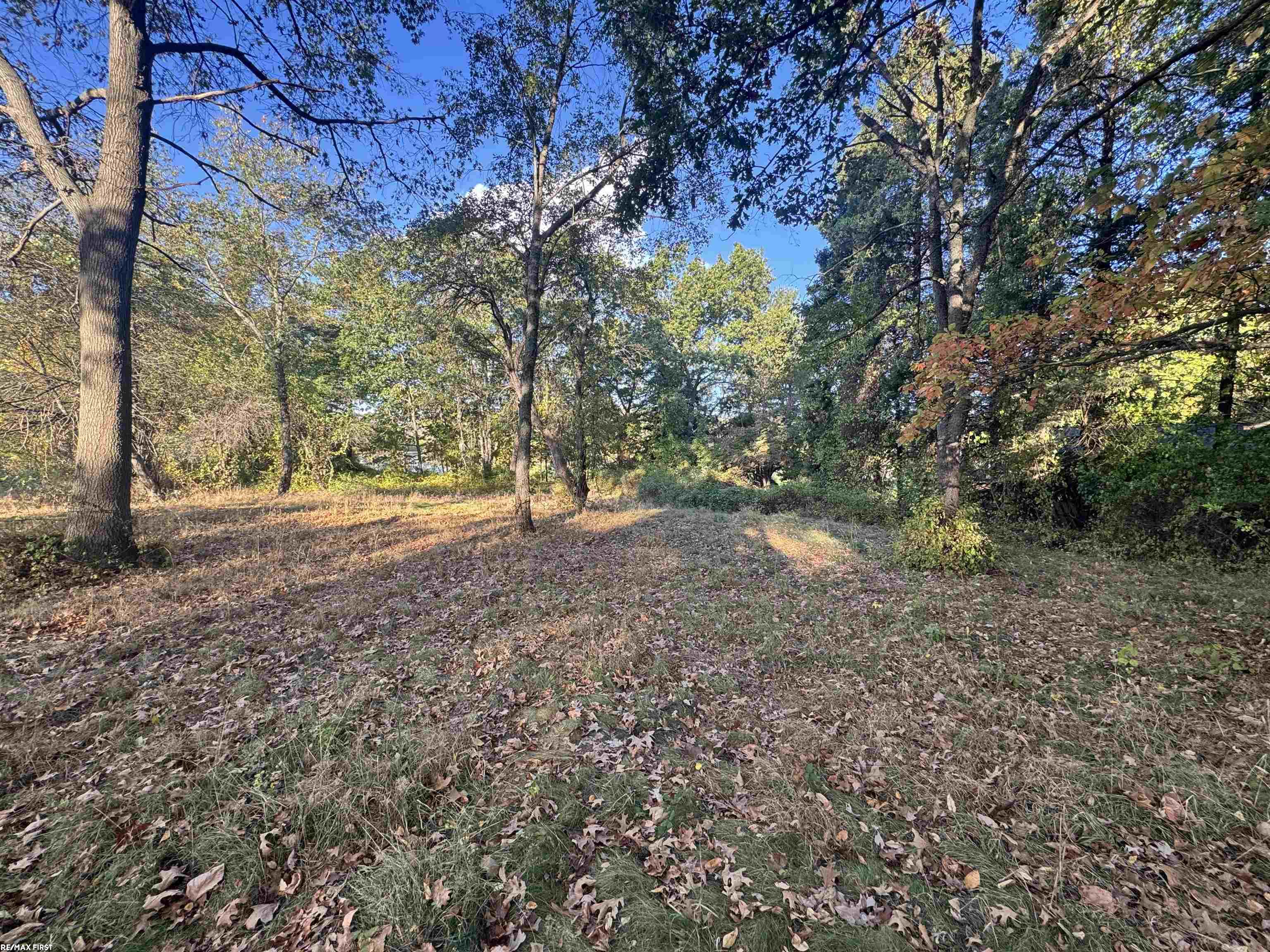 0000 Round Lake Lane Leonard Village MI 48367