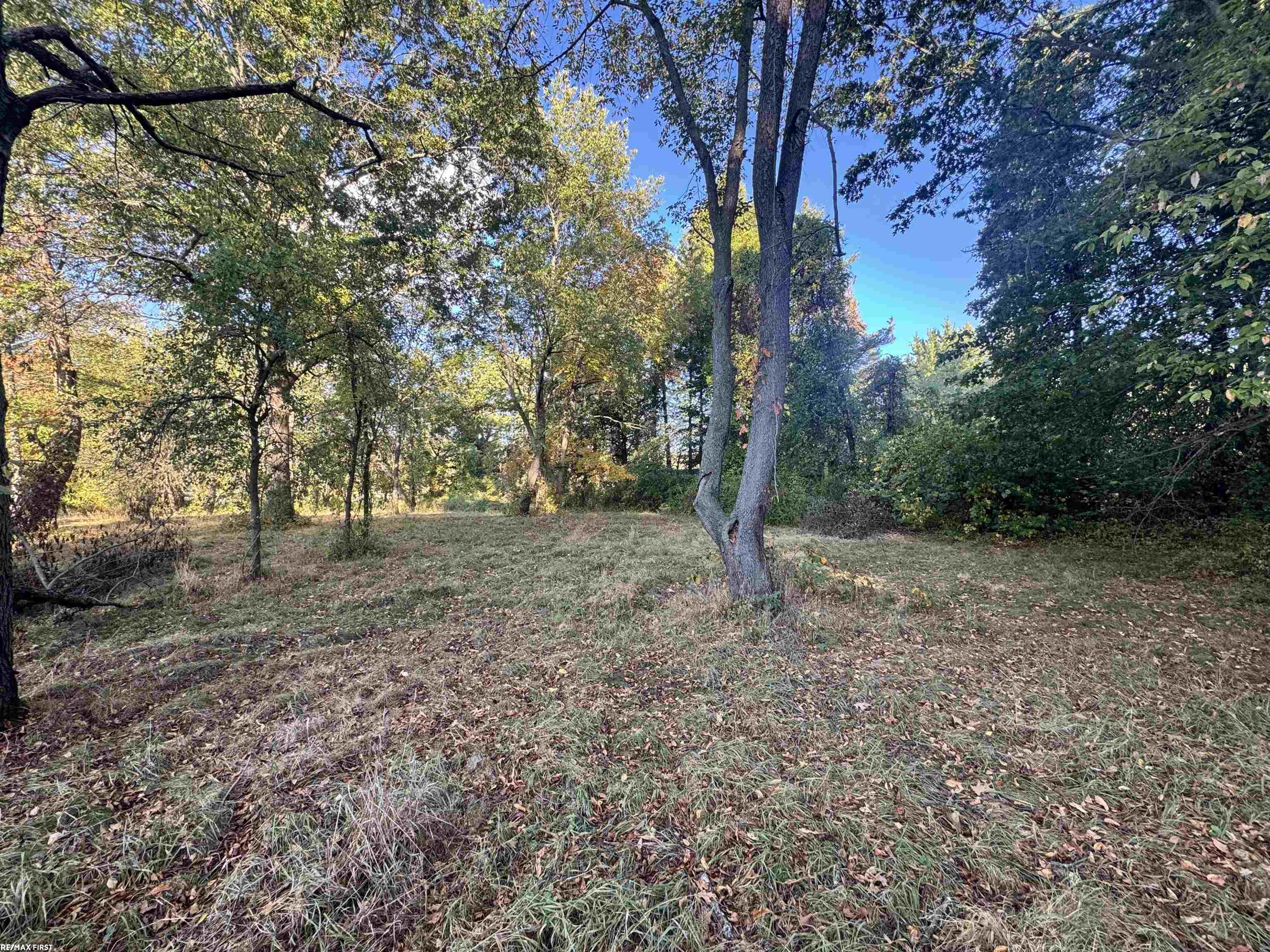 0000 Round Lake Lane Leonard Village MI 48367