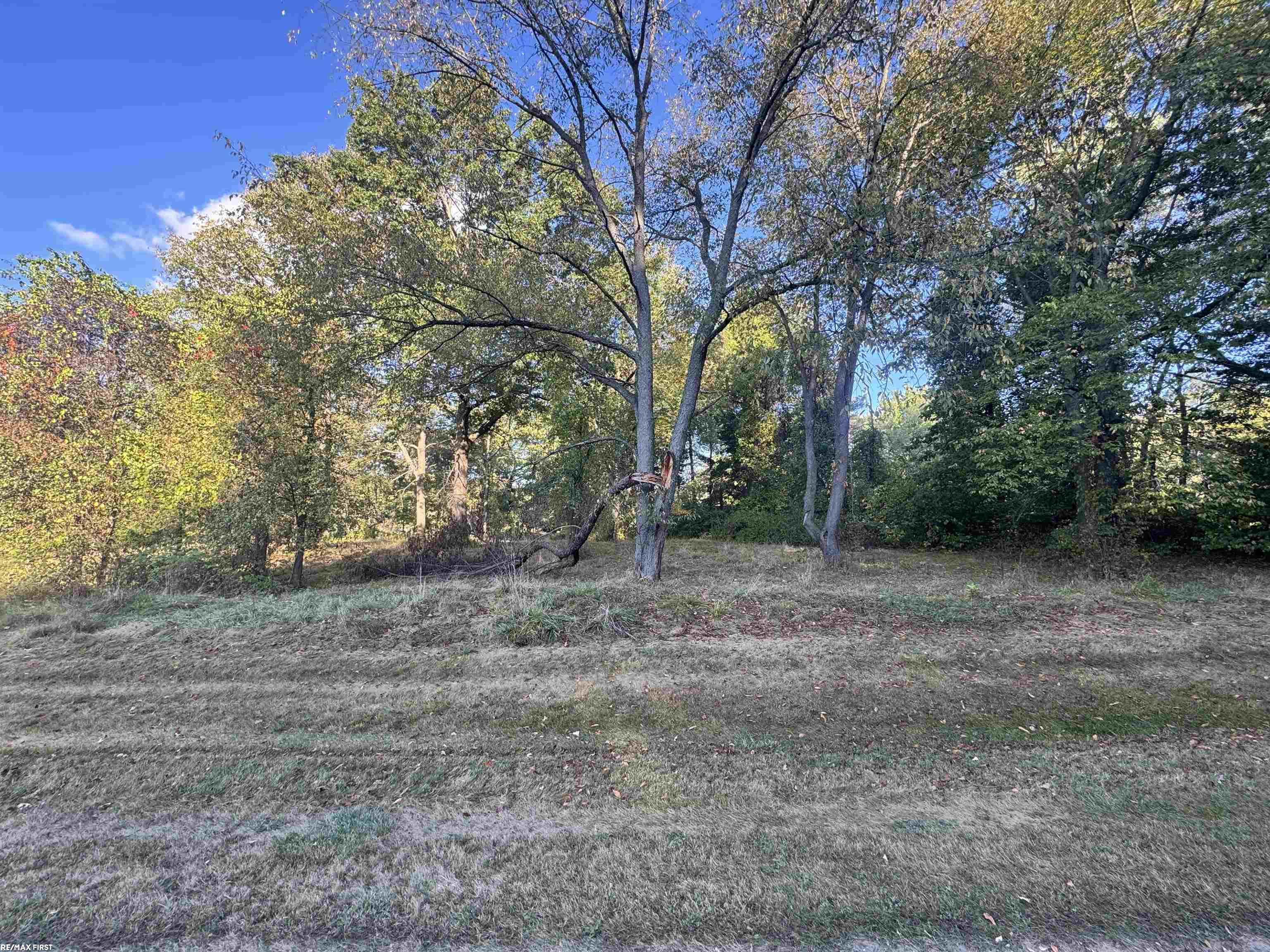 0000 Round Lake Lane Leonard Village MI 48367