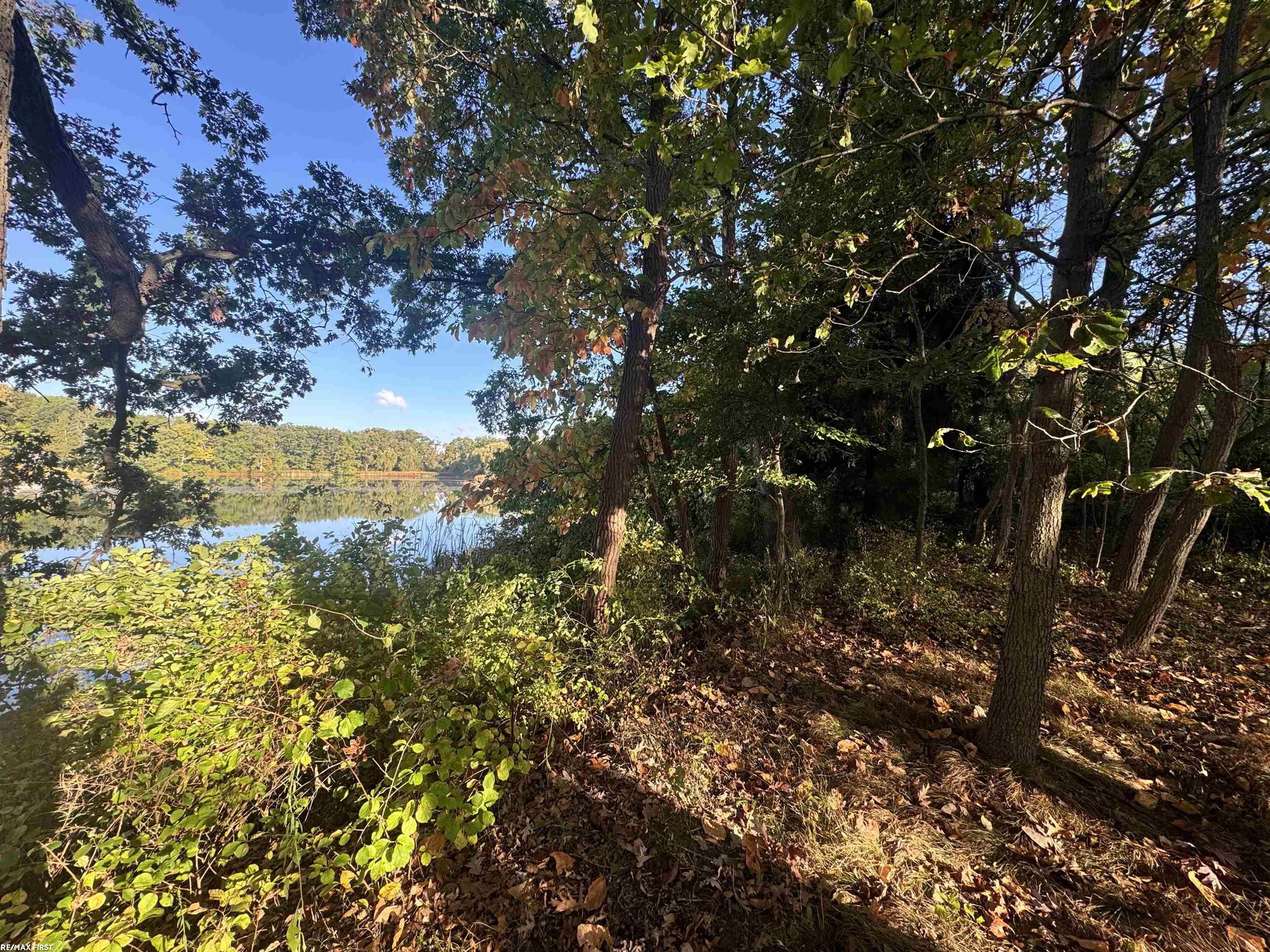 0000 Round Lake Lane Leonard Village MI 48367