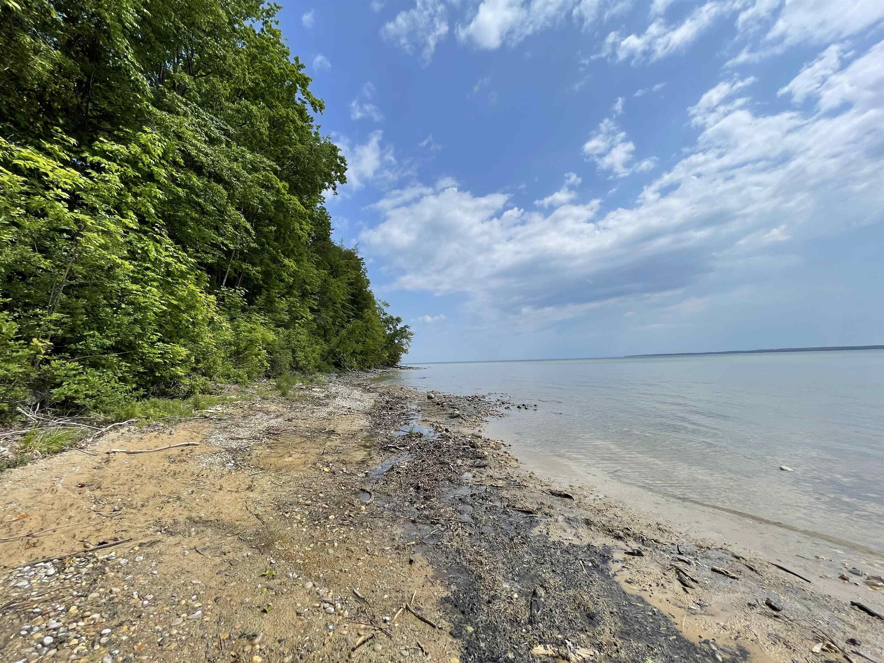 S Lee Point Road Bingham Township MI 49682