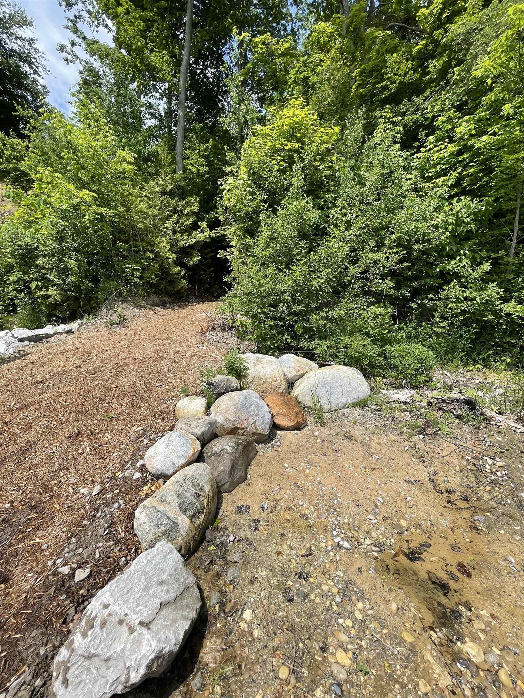 S Lee Point Road Bingham Township MI 49682