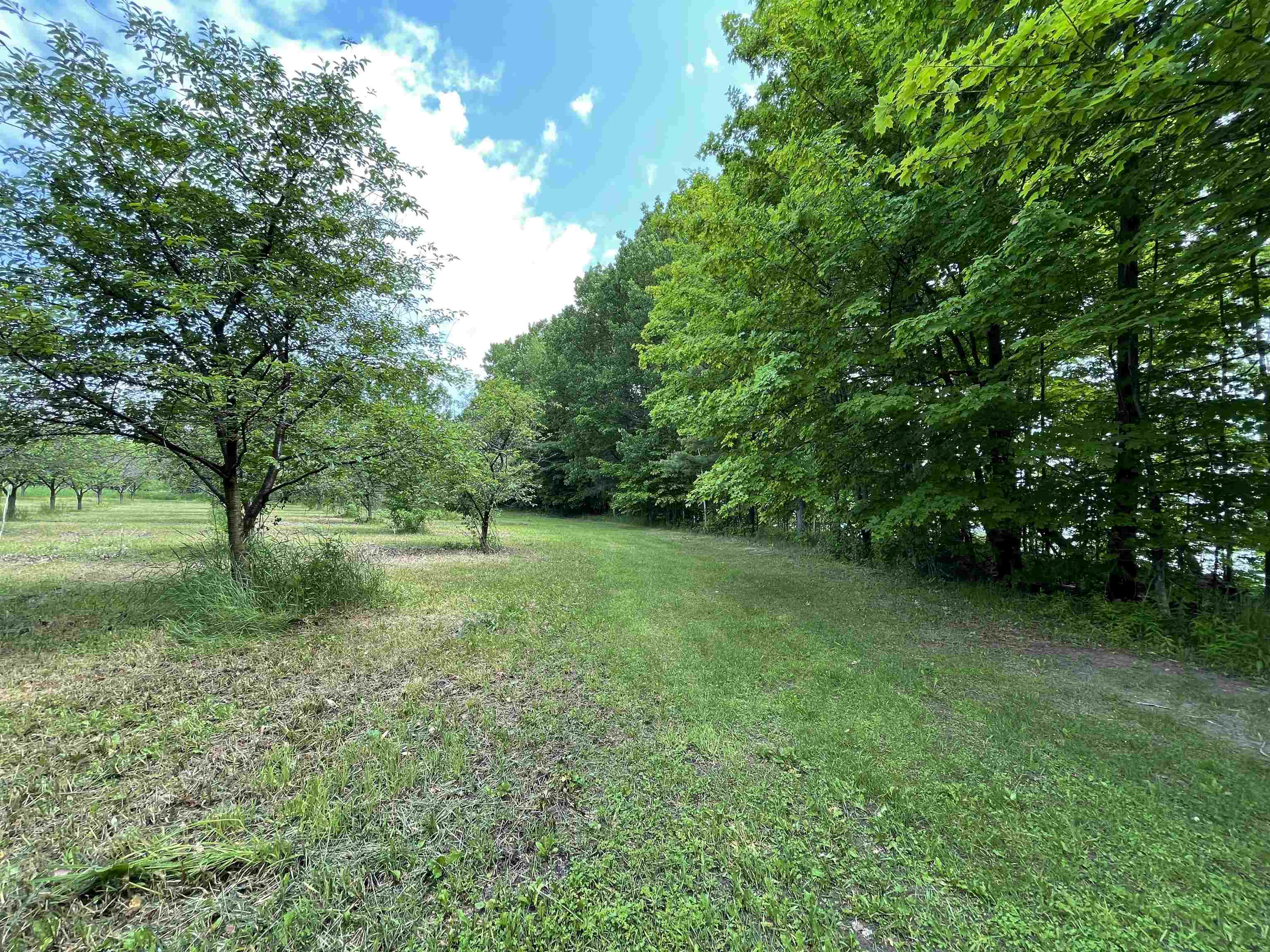 S Lee Point Road Bingham Township MI 49682