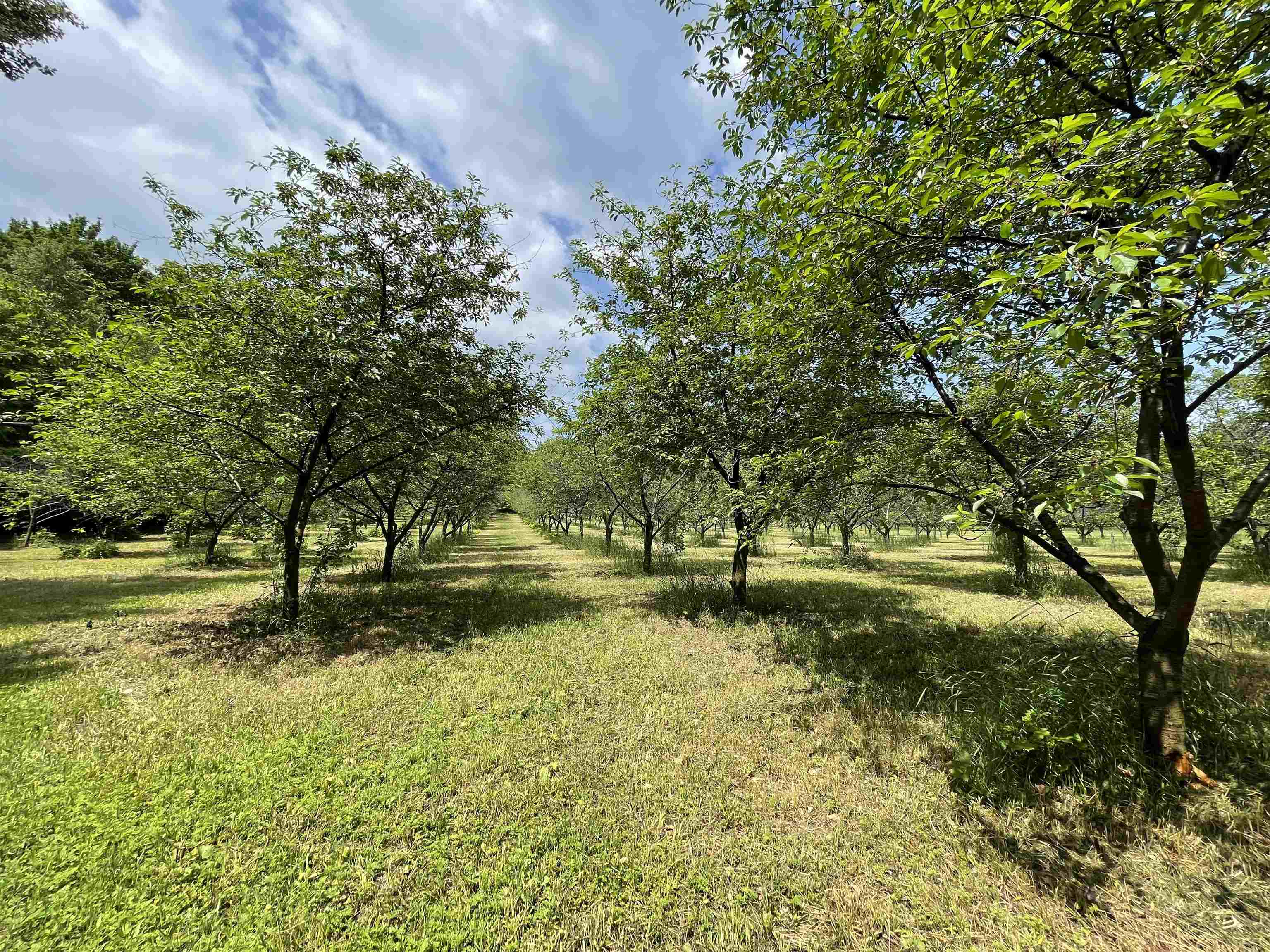 S Lee Point Road Bingham Township MI 49682