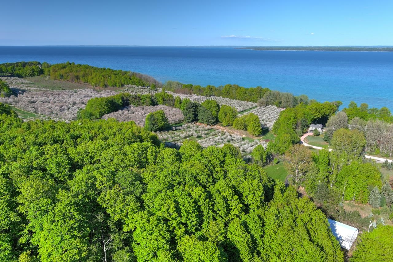S Lee Point Road Bingham Township MI 49682