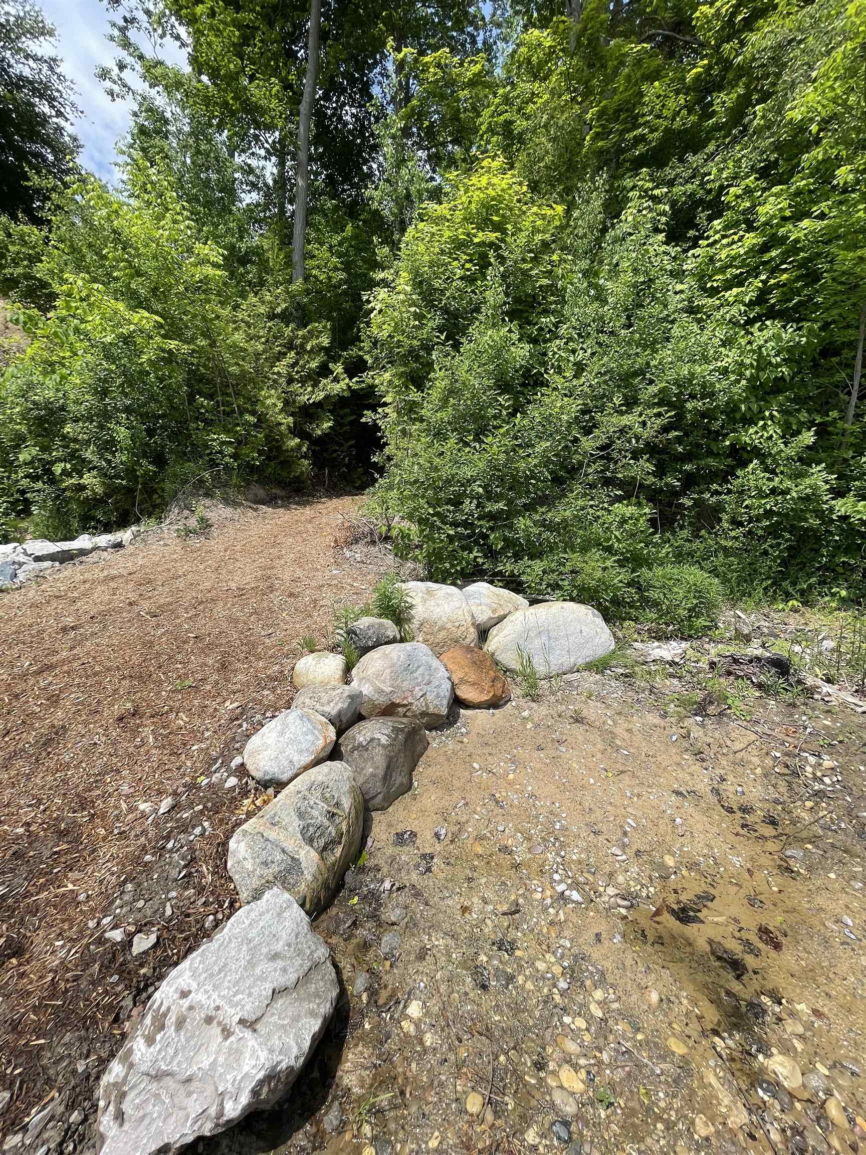 S Lee Point Road Bingham Township MI 49682