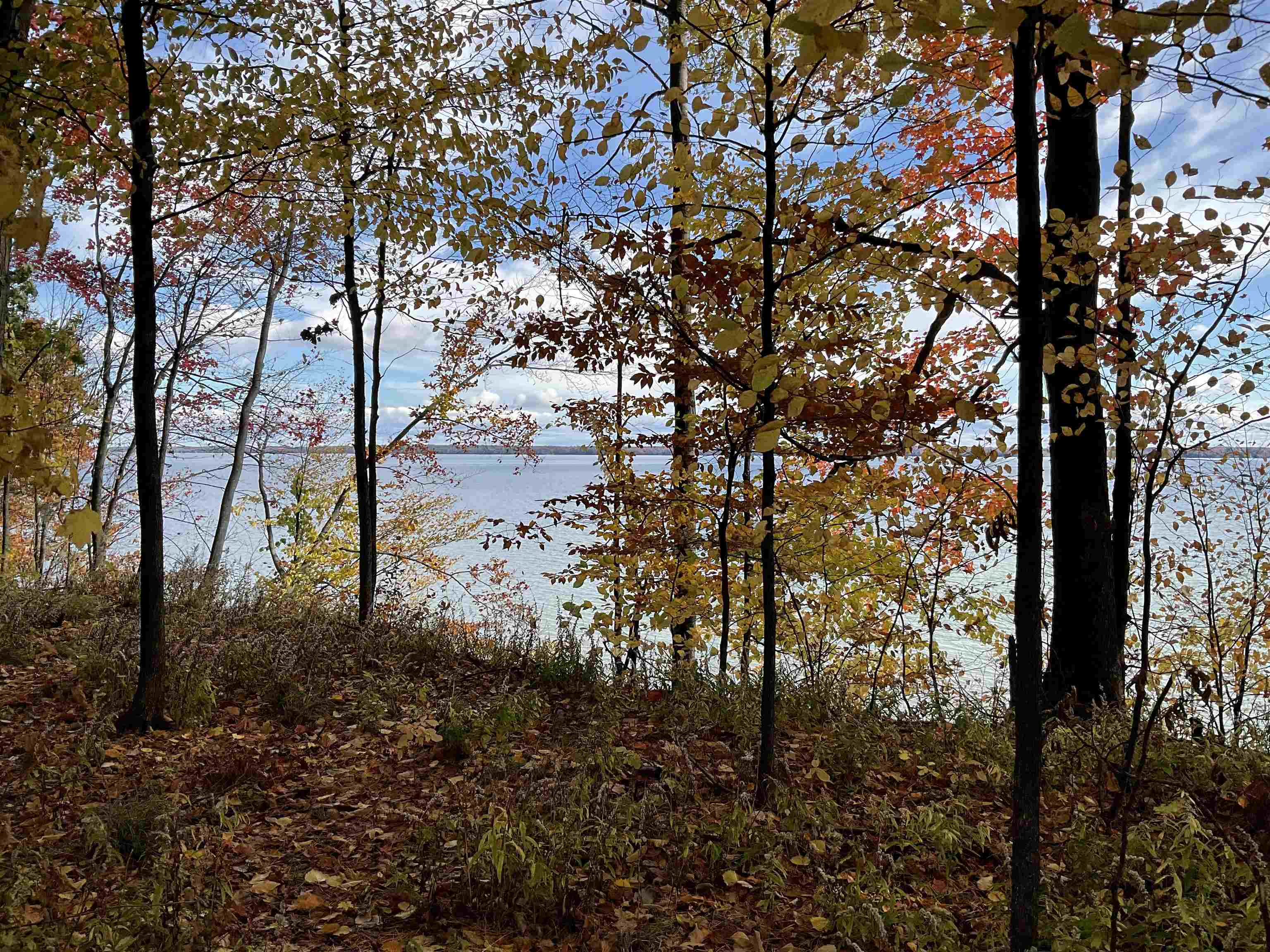 S Lee Point Road Bingham Township MI 49682