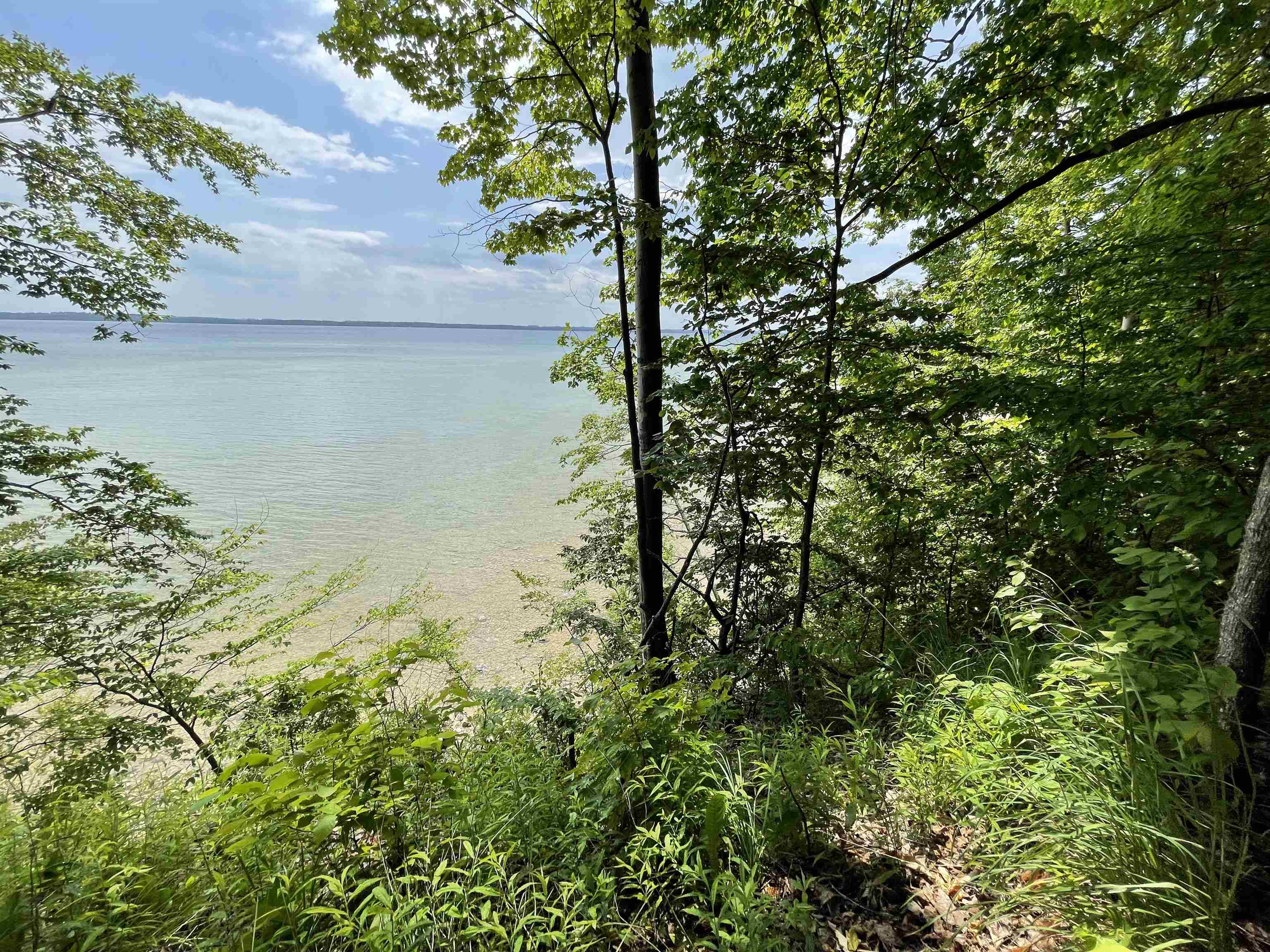 S Lee Point Road Bingham Township MI 49682