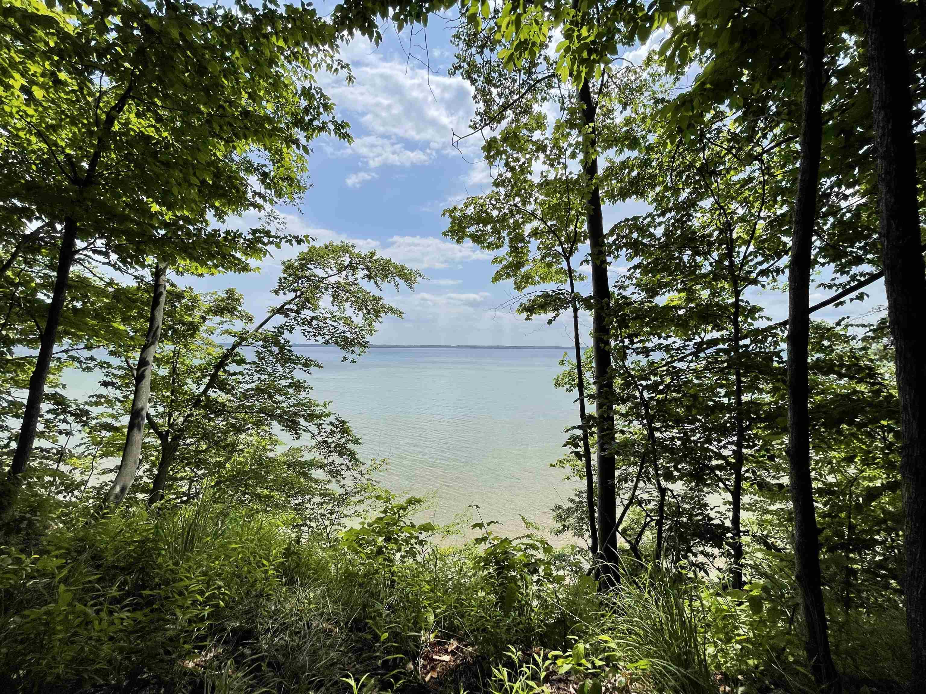 S Lee Point Road Bingham Township MI 49682