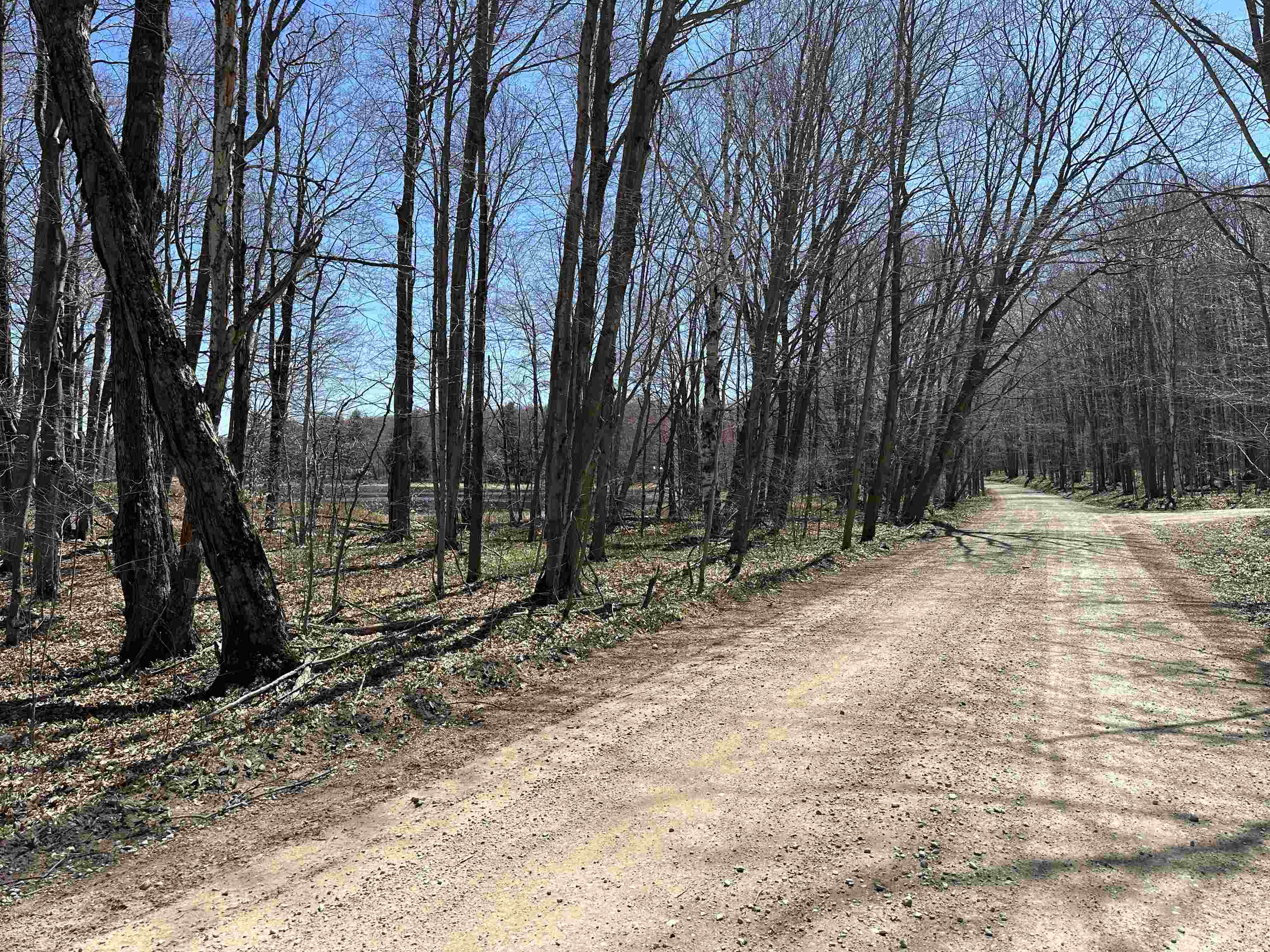 Tbd West Side Drive Peaine Township MI 49782