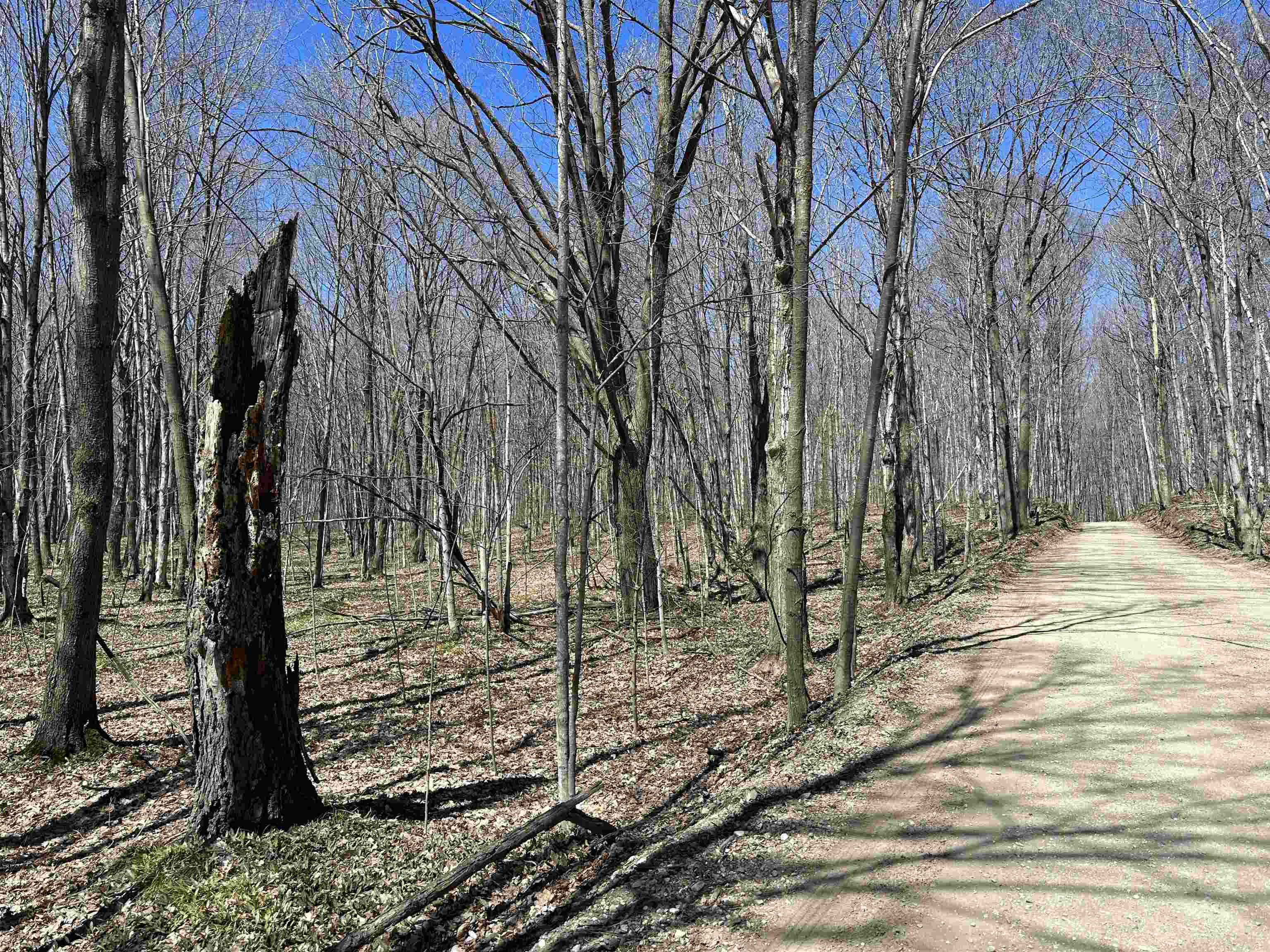 Tbd West Side Drive Peaine Township MI 49782