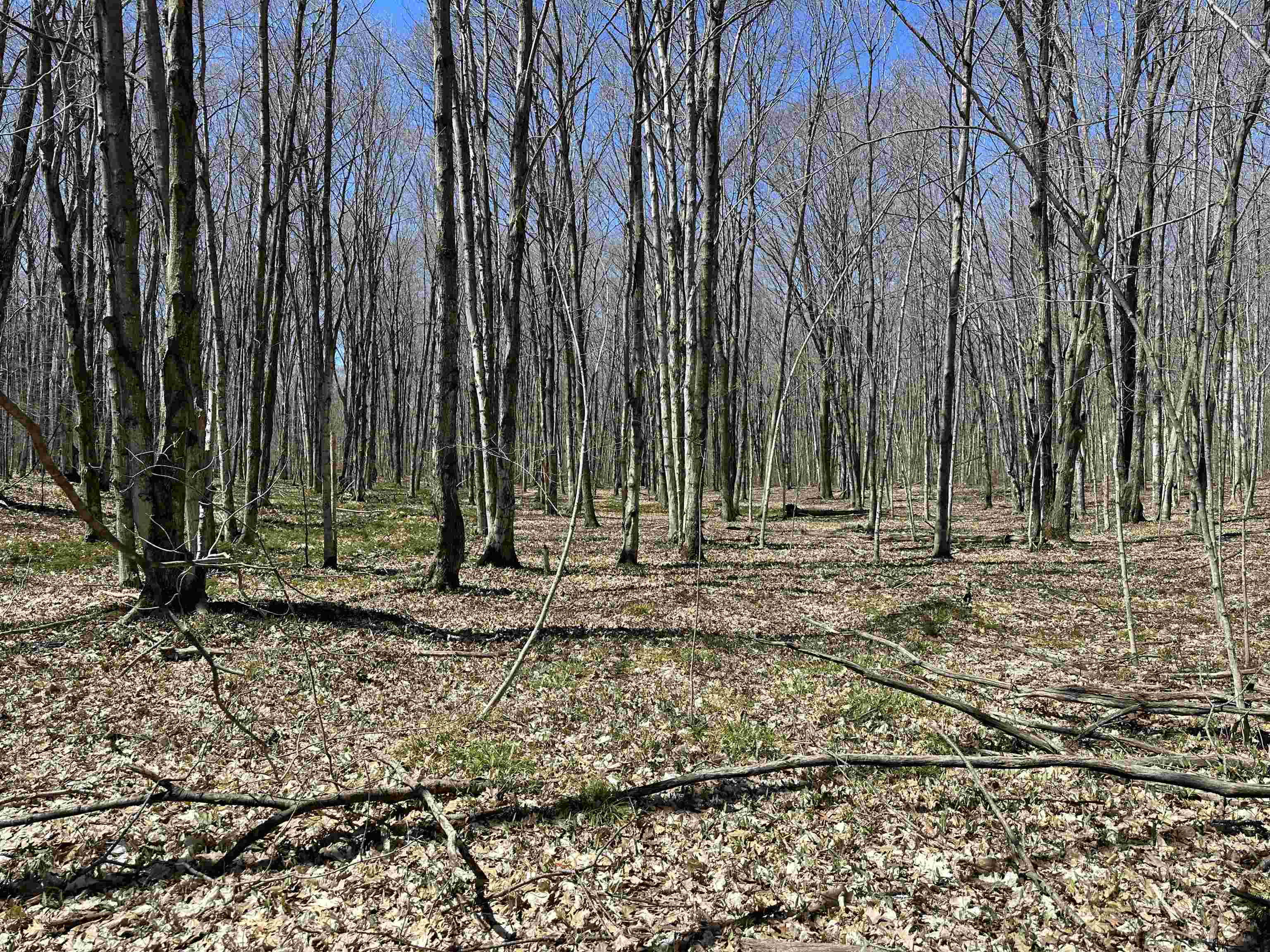 Tbd West Side Drive Peaine Township MI 49782