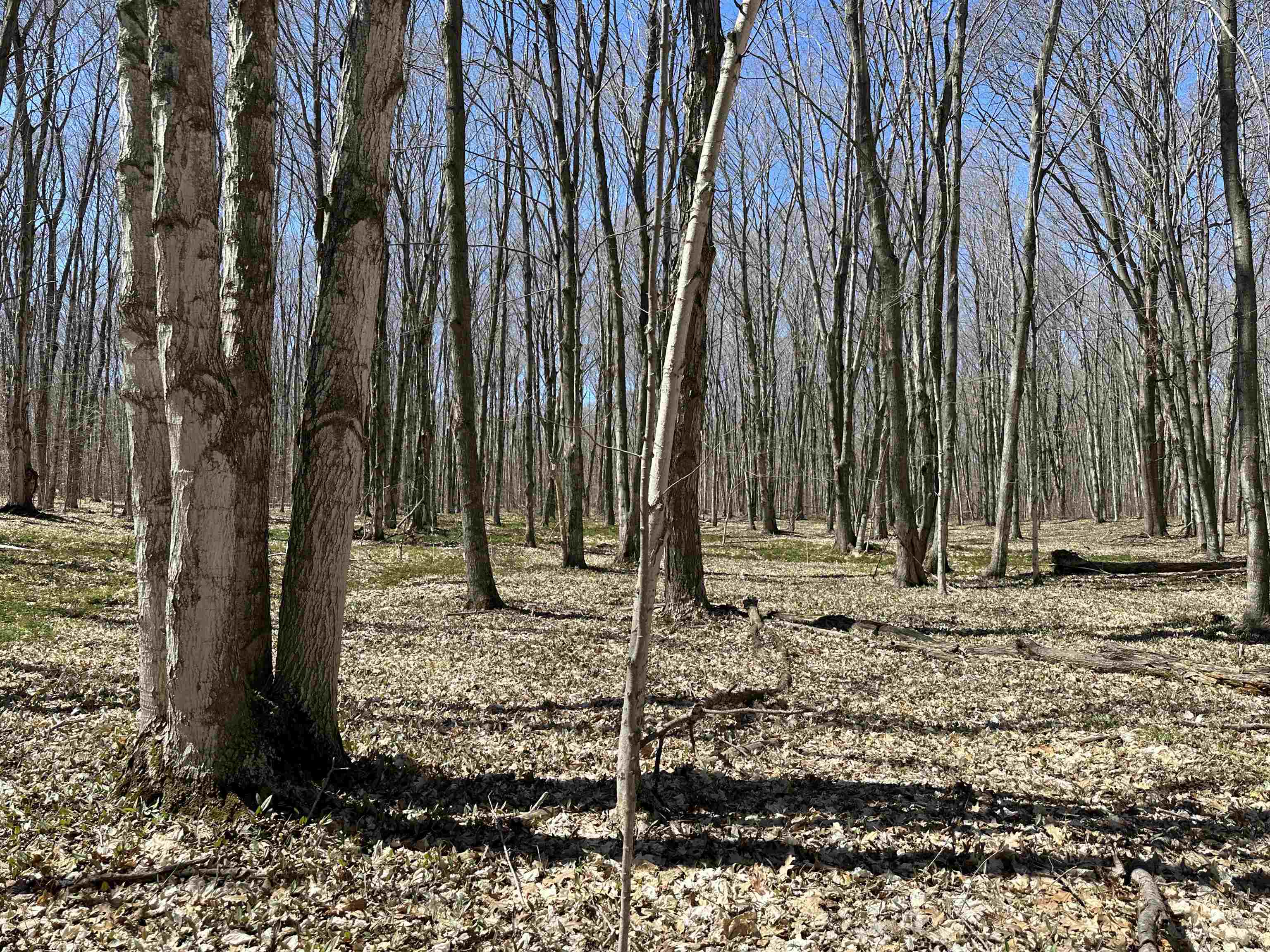 Tbd West Side Drive Peaine Township MI 49782