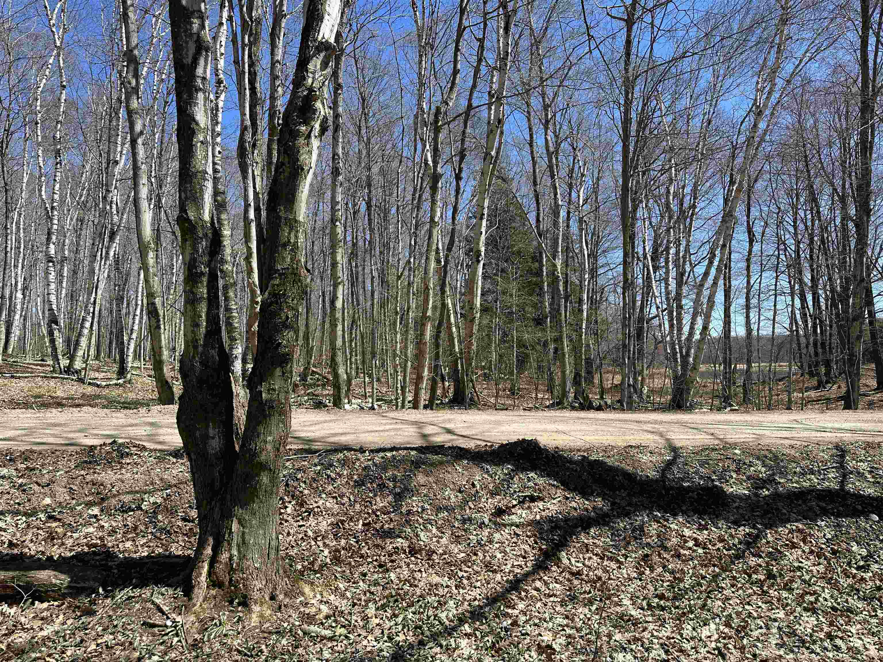 Tbd West Side Drive Peaine Township MI 49782