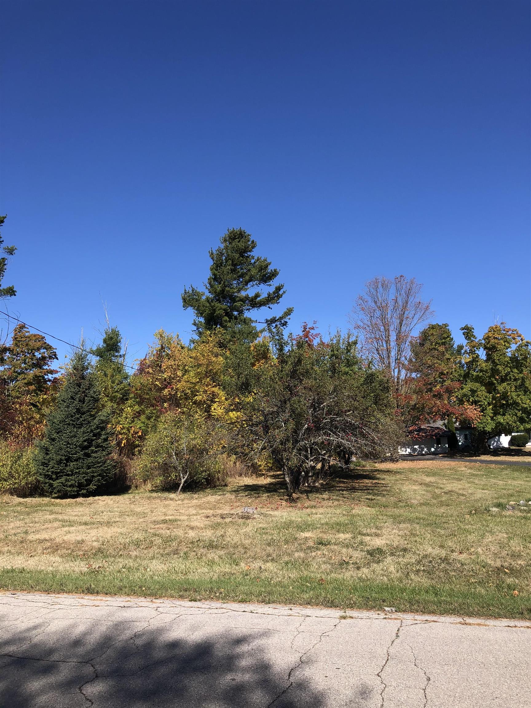 #4 Lamoreaux Drive Elk Rapids Township MI 49629