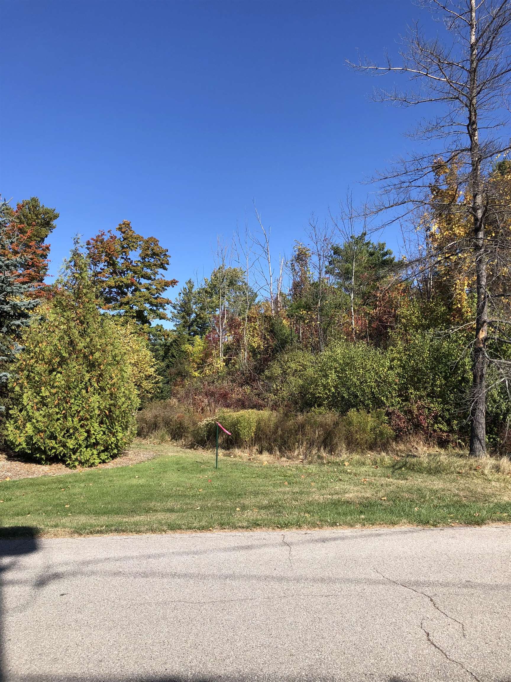 #4 Lamoreaux Drive Elk Rapids Township MI 49629