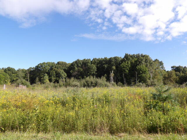 2747 M Drive S Athens Township MI 49011