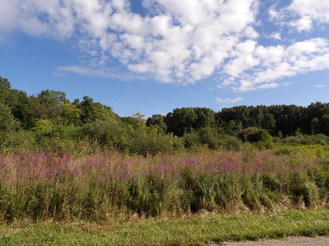2747 M Drive S Athens Township MI 49011