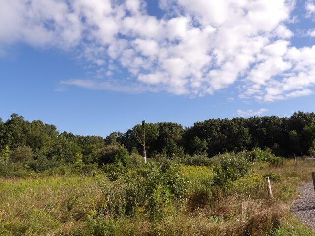 2747 M Drive S Athens Township MI 49011