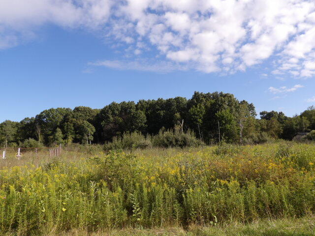 2747 M Drive S Athens Township MI 49011