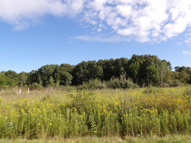 2747 M Drive S Athens Township MI 49011