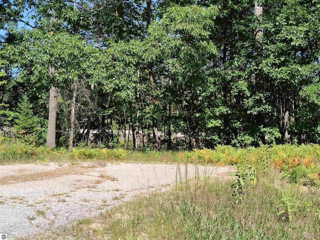 N Circle E Surrey Township MI 48622