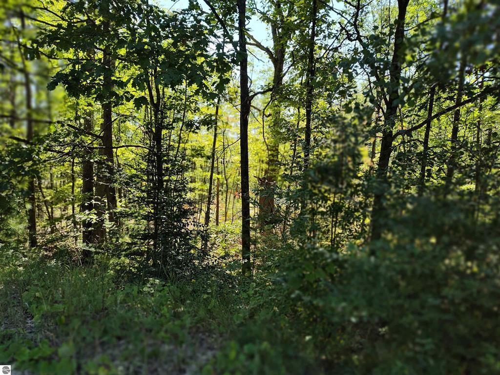 N Circle E Surrey Township MI 48622