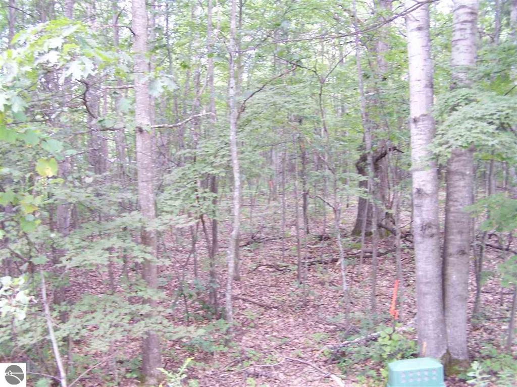 N Circle E Surrey Township MI 48622