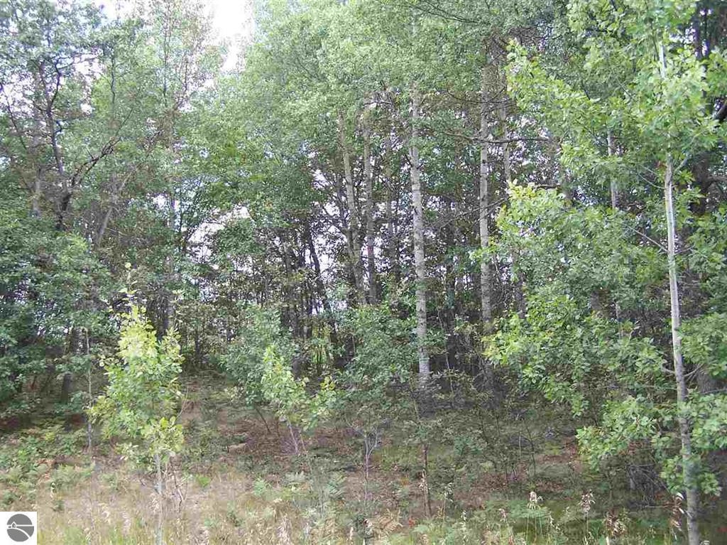 N Circle E Surrey Township MI 48622